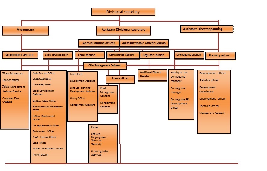 organi chart 123
