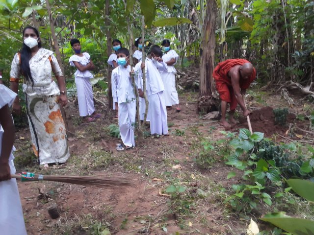 රුක් රෝපණ වැඩසටහන්