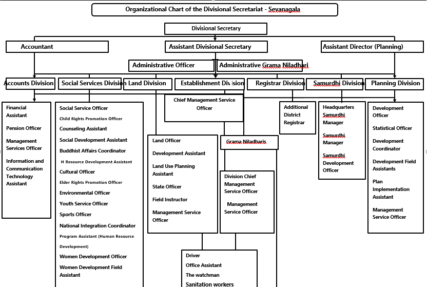 organaication chart